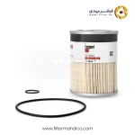 فیلتر آبگیر فیلیتگارد FS19915