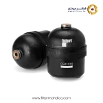 فیلتر روغن فیلیتگارد CS41018
