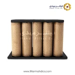 فیلتر هوای پنلی فیلیتگارد AF452